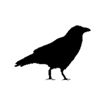 random Crow