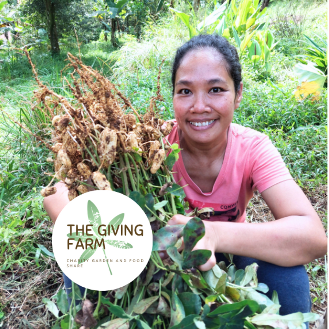 The Giving Farm Children's Wellness Foundation