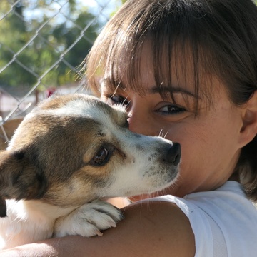 DAR - Animal Rescue Team Patreon Picture