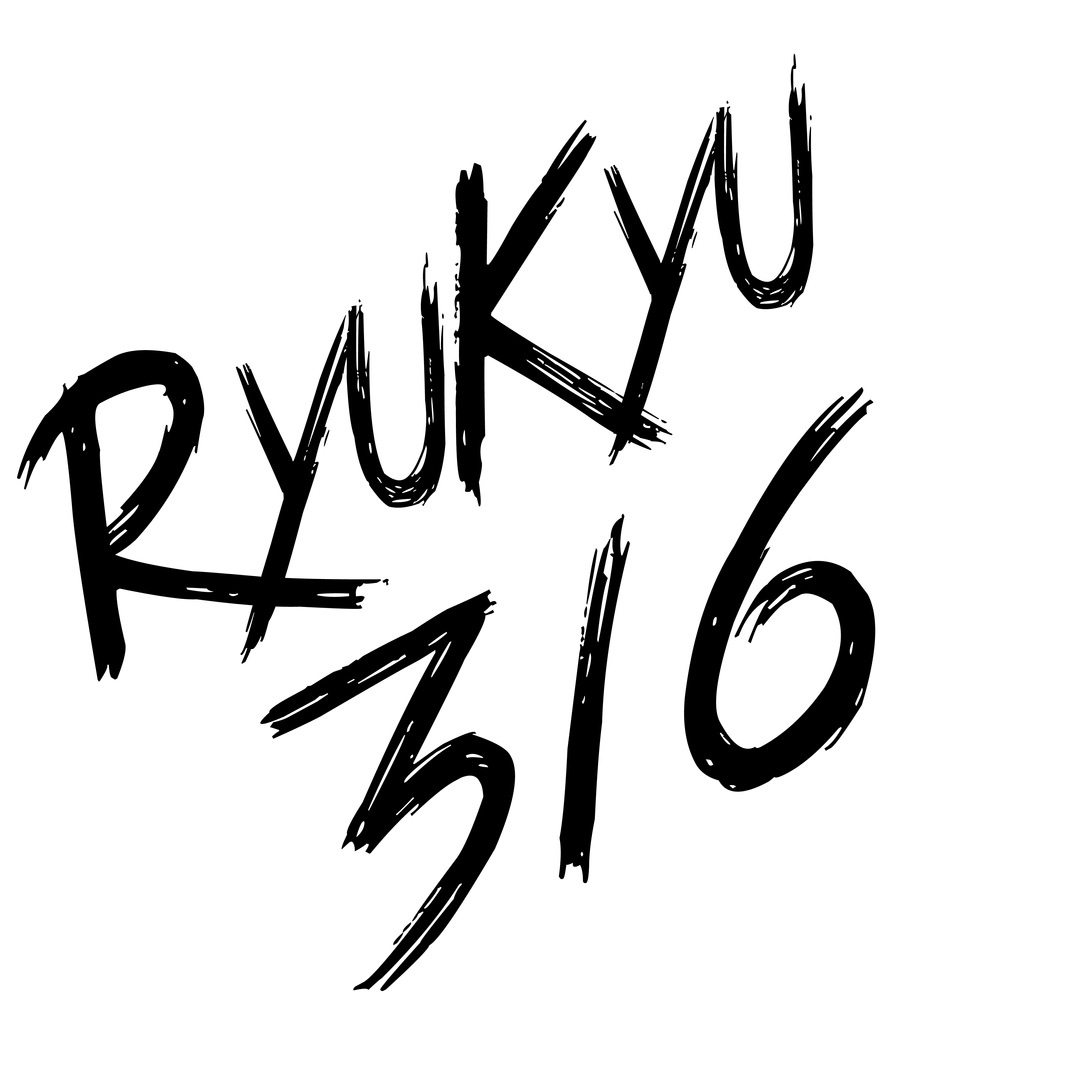 RK316