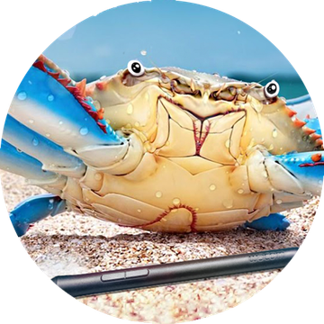 Krabby