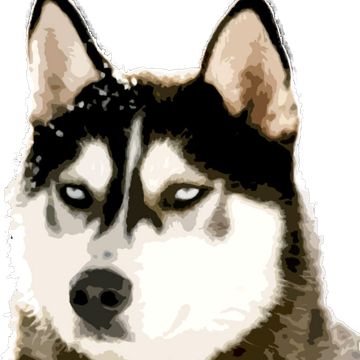 Creator profile picture