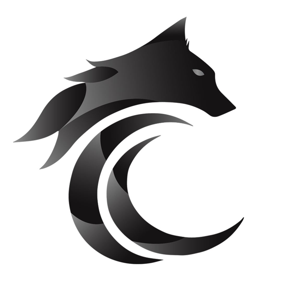 Coding Snow Patreon Creator Profile