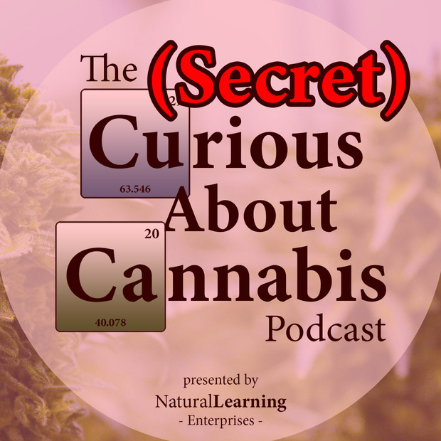 Are We Testing for the Wrong Things? with Kyle Boyar