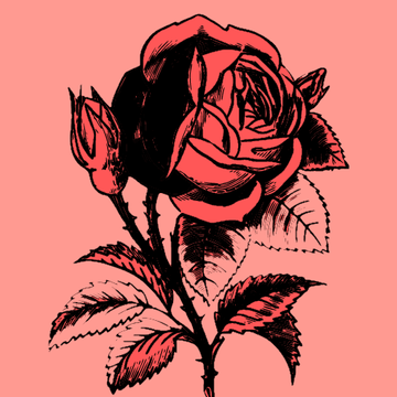 Yukon ASMR's Patreon profile picture