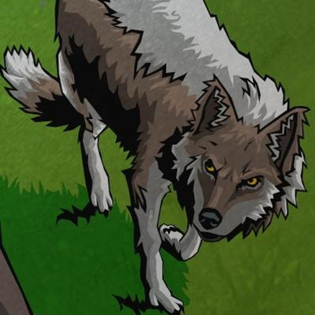 William D. Arand Patreon Creator Profile