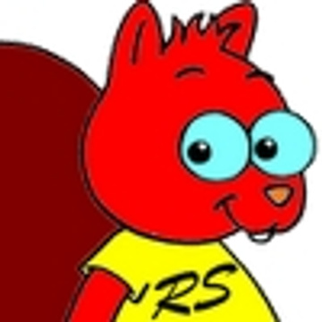 Red Squirrel