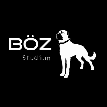 BÖZstudium's Patreon profile picture