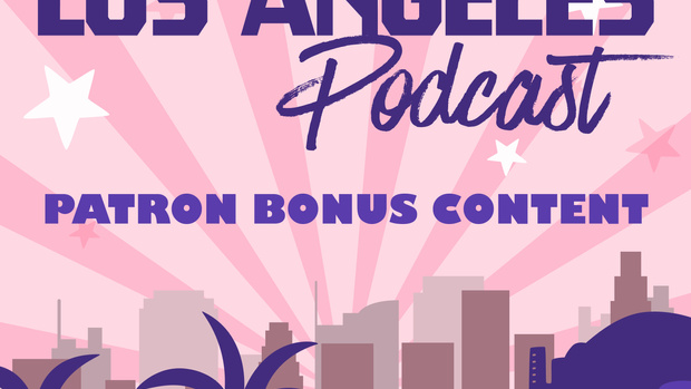 The Los Angeles International Airport (LAX) - Episode 14