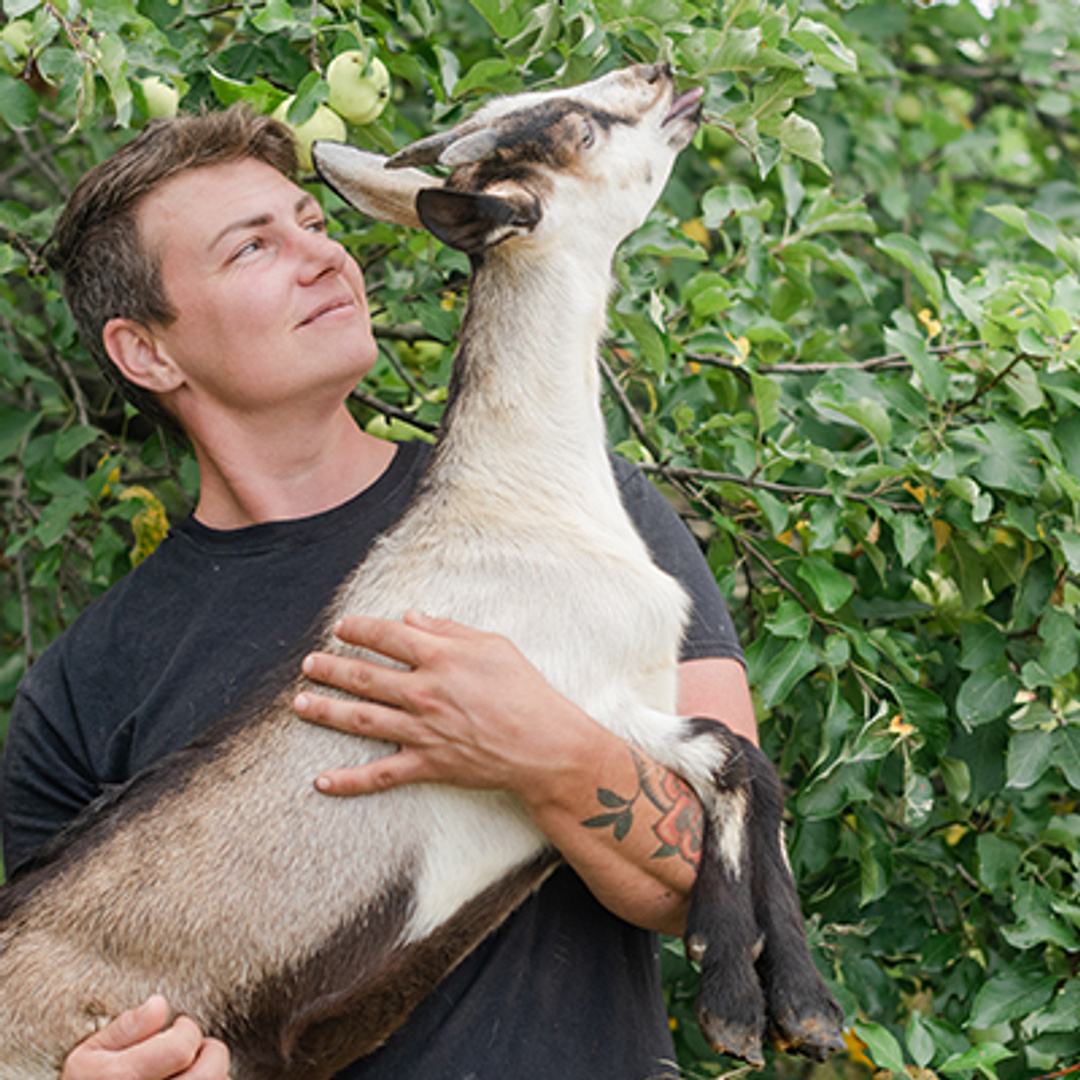 Moxie Ridge Farm Patreon Creator Profile