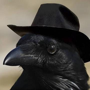 Raven Aelwood's Patreon profile picture