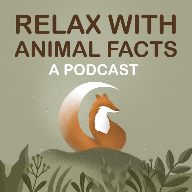 The End of Relax With Animal Facts