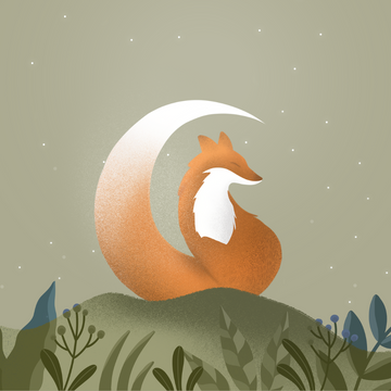 Relax With Animal Facts
