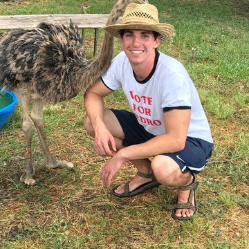 Ostrich Plug | The Urban Rescue Ranch