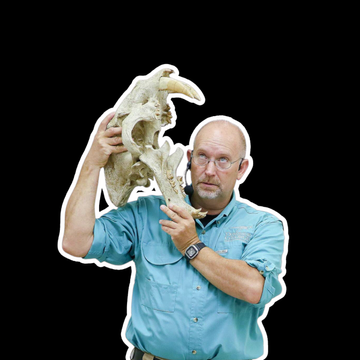 Dinosaur George | Dinosaur George Kids Podcast