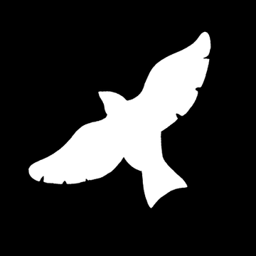 Dawn Chorus's Patreon profile picture