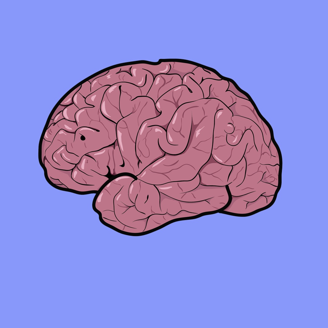 FreetheBrain