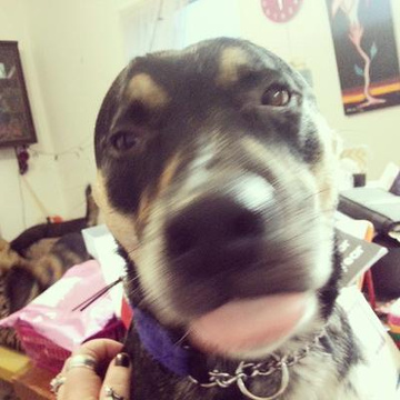 Rhomany Patreon Creator Profile