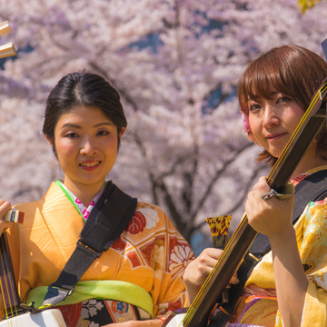 Learn Shamisen