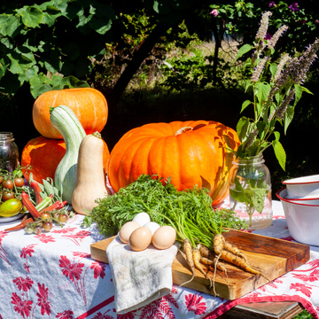 Virginia Free Farm @ Spotted Pig Holler