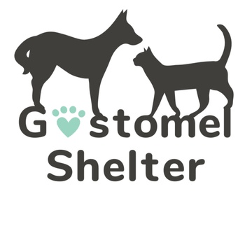 Gostomel Shelter for animals Patreon Creator Profile