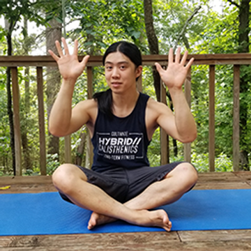 Hybrid Calisthenics