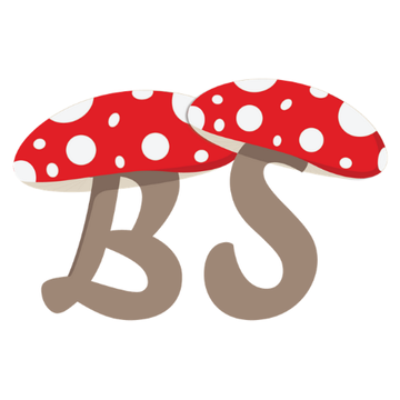 Boomer Shroomer