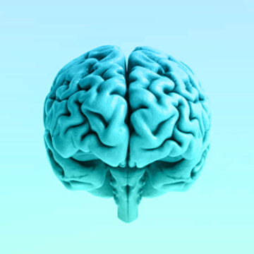 Nameless Brain's Patreon profile picture