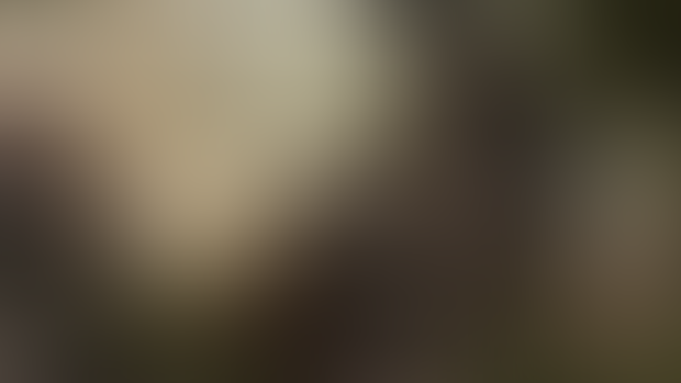 creator-hero-placeholder