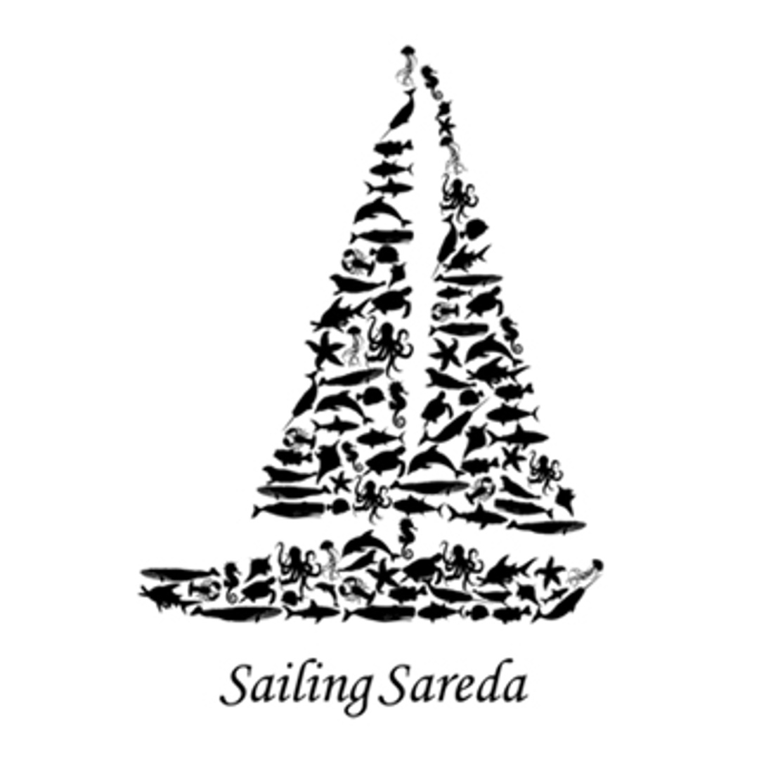 Sailing Sareda Patreon Creator Profile