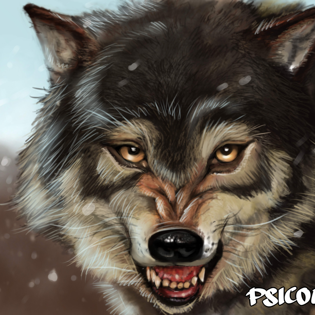 psicoero's Patreon profile picture