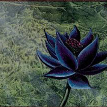 MTG Deckmasters