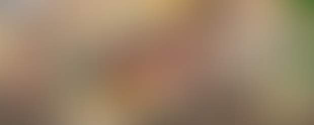 creator-hero-placeholder