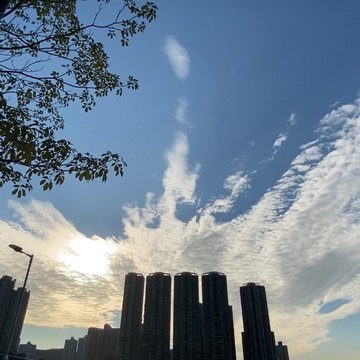 上官子羚