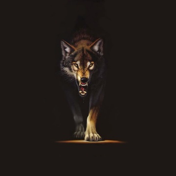 Benthebettor Patreon Creator Profile
