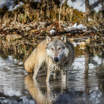 Holly Cannon Photography