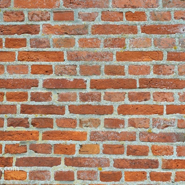 Imaginary Brick Wall & Michael Halpern