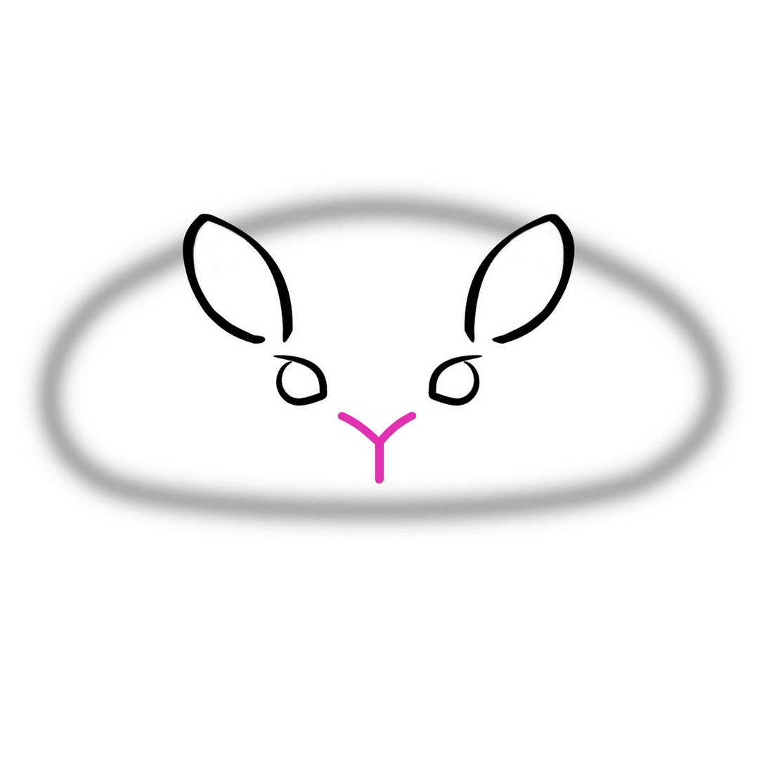 bunnymuff designs