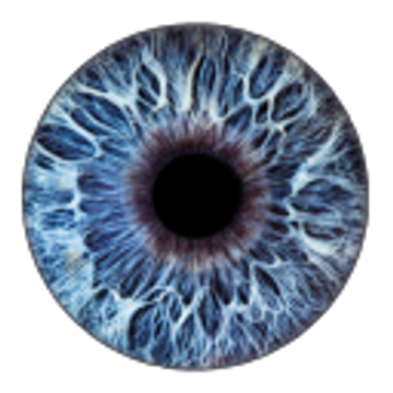 Big Brother Patreon Creator Profile