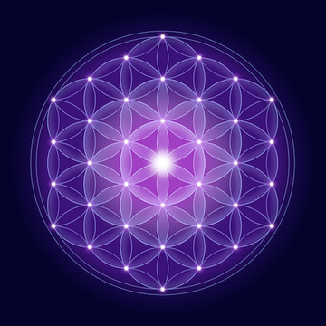 The Awakened Species