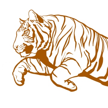 Studio Wildlife's Patreon profile picture