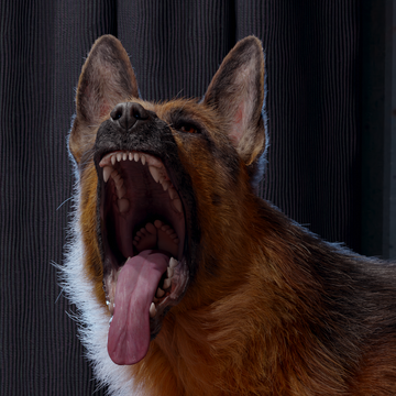 CryptoCrisis's Patreon profile picture