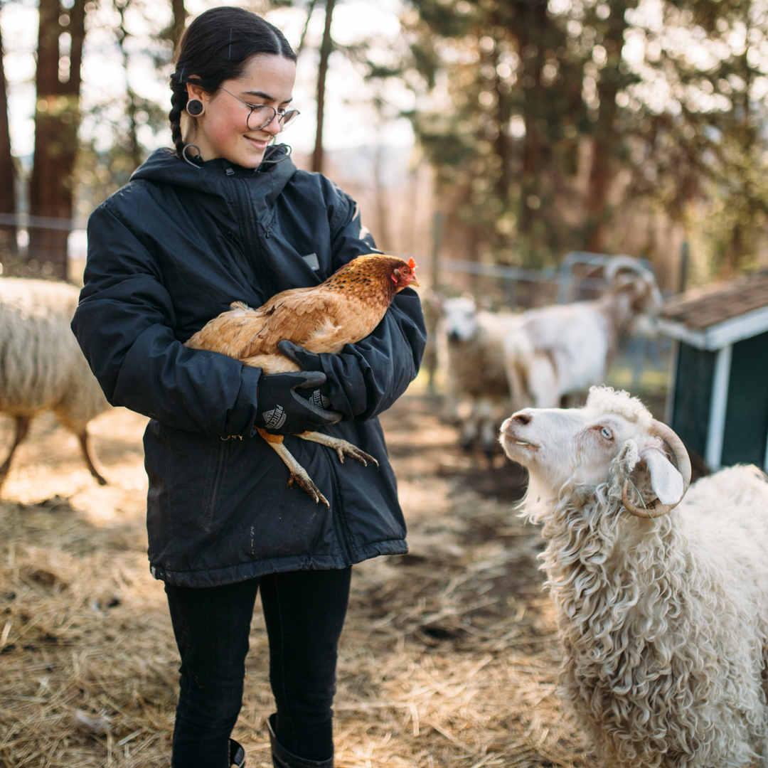 Arion Therapeutic Farm