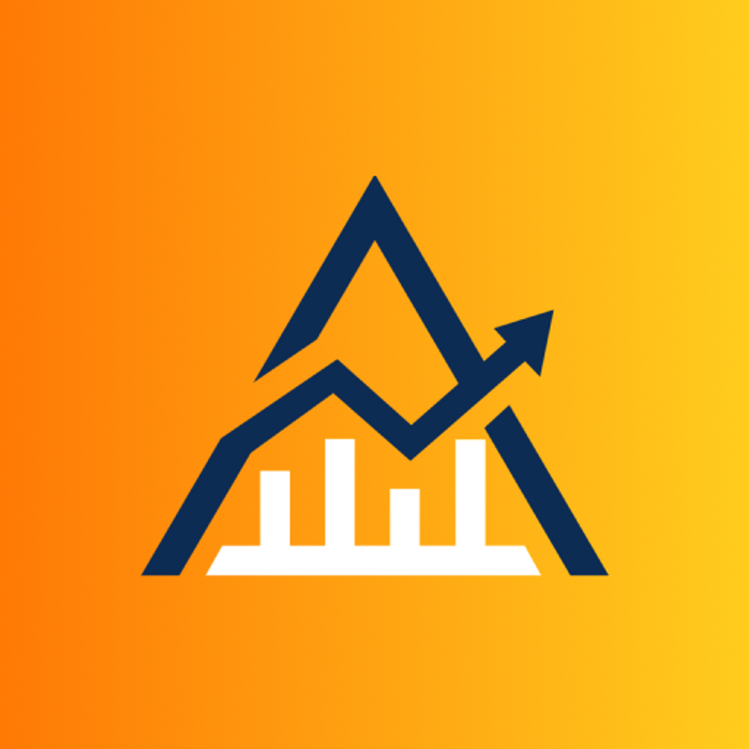 The Investor Accelerator