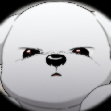 nnja