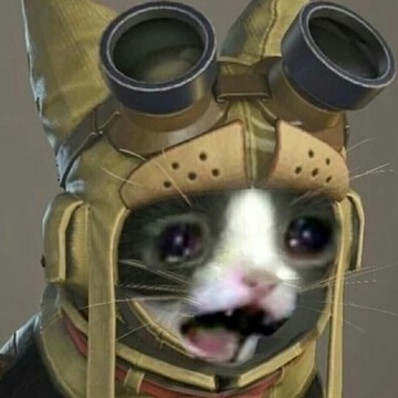 Caenarvon's Patreon profile picture