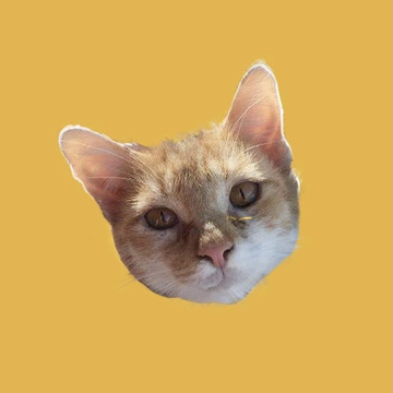 Poets Square Cats Patreon Creator Profile