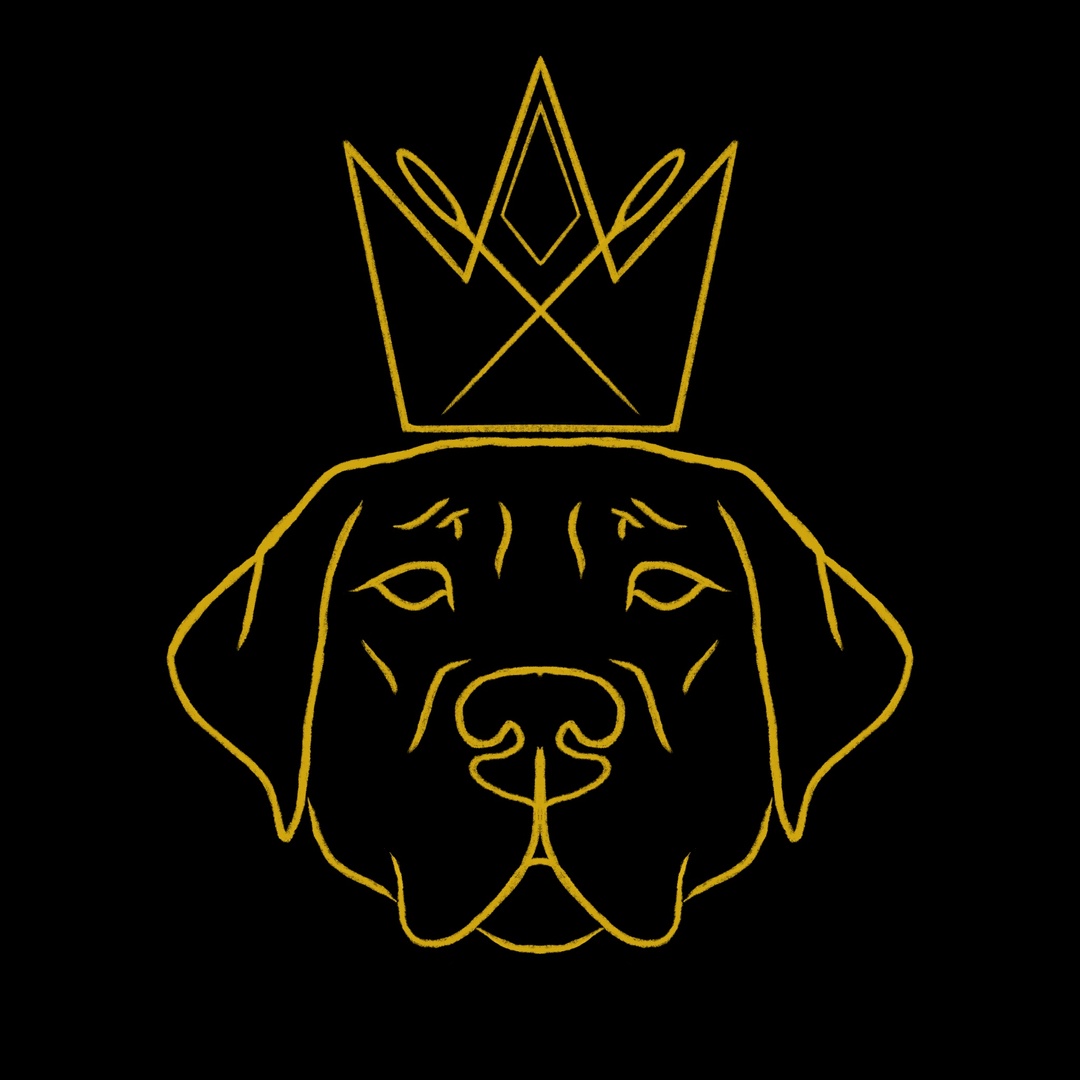 Wealthy Wears Patreon Creator Profile