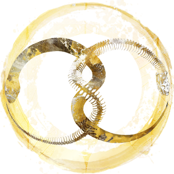 Sabbath Circle's Patreon profile picture