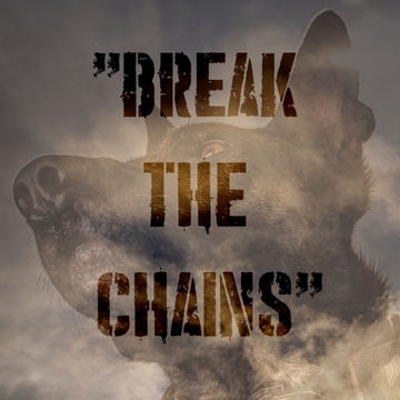 Breaking The Chains's Patreon profile picture